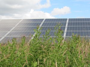 Solar panels deliver renewable energy